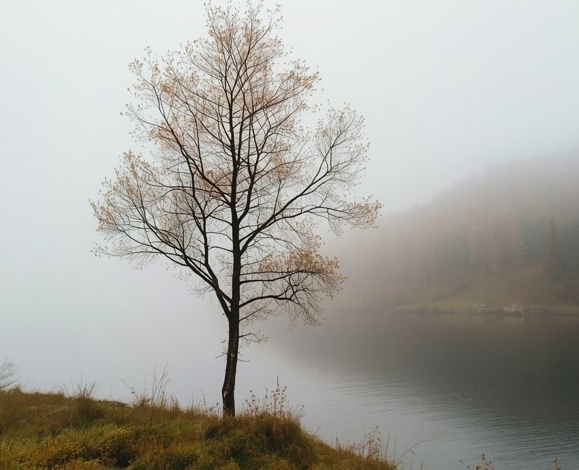 Karusell 1